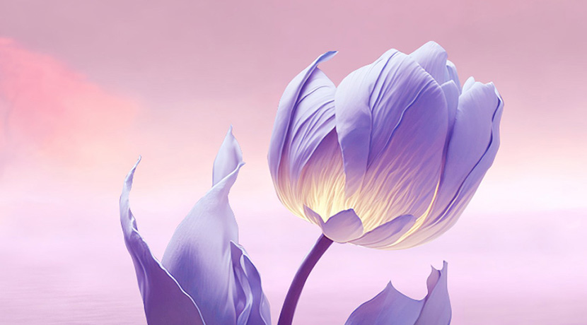 企业选择上海广告公司做平面设计，需提前准备哪些资料？