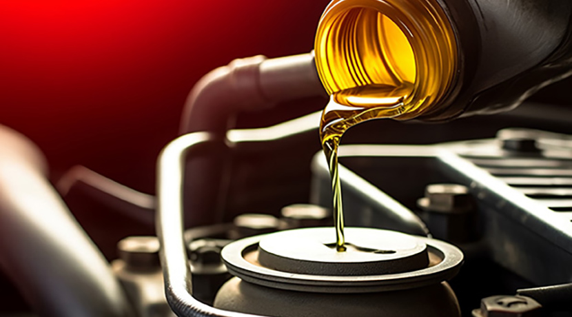 昌丽广告深耕 VI 设计领域 助力本土品牌构建视觉护城河